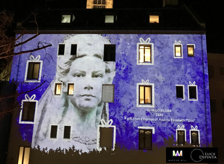 Projection mapping at Palais Campofranco